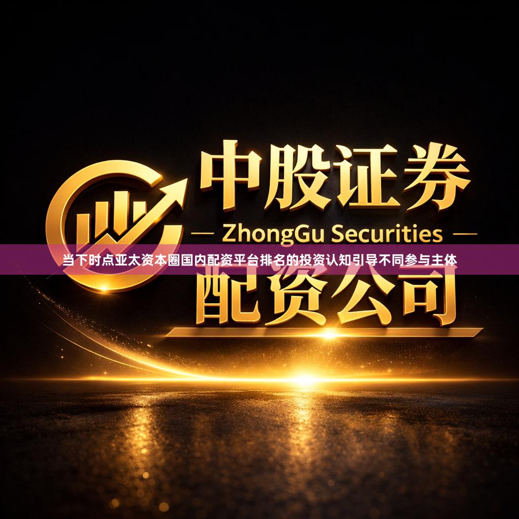 当下时点亚太资本圈国内配资平台排名的投资认知引导不同参与主体