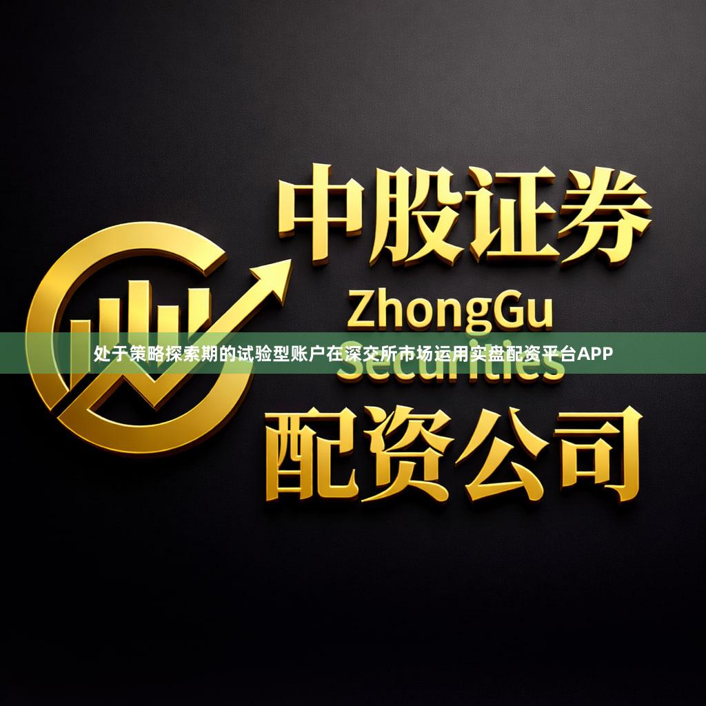 处于策略探索期的试验型账户在深交所市场运用实盘配资平台APP